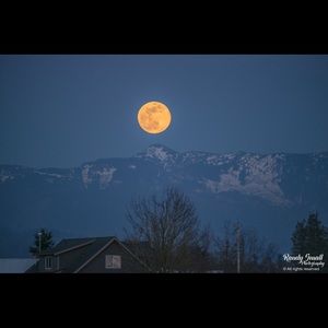 Meet your Posher, Brad